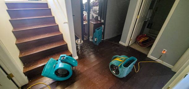 Best Water damage restoration cost  in Alameda, CA