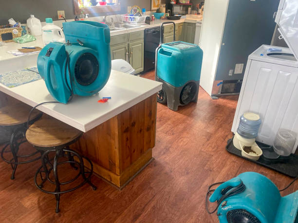 Best Water damage contractors near me  in Alameda, CA