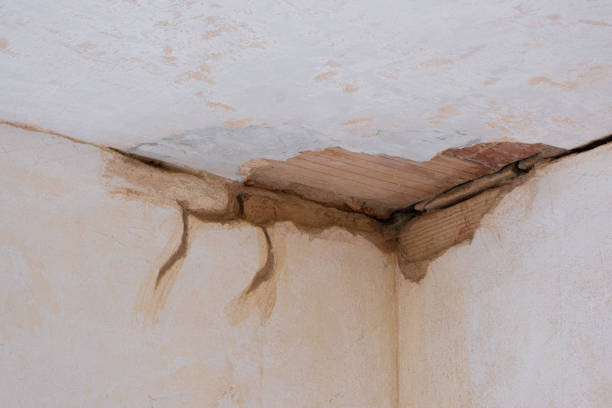 Best Water damage restoration near me  in Alameda, CA
