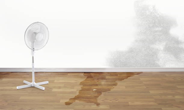 Best 24-hour water damage restoration  in Alameda, CA