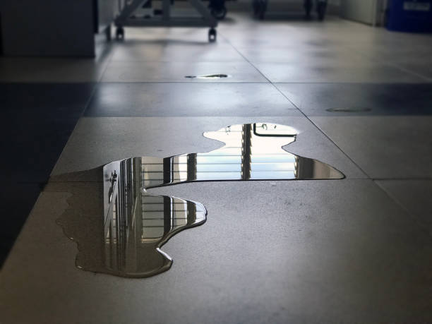 Best 24/7 water damage repair  in Alameda, CA