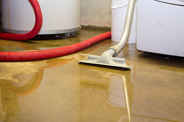 Best Ceiling water damage repair  in Alameda, CA