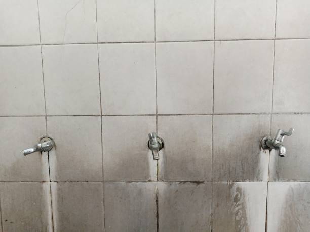 Best Basement water damage restoration  in Alameda, CA