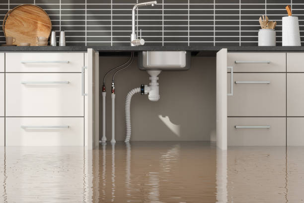 Best Professional water damage repair  in Alameda, CA