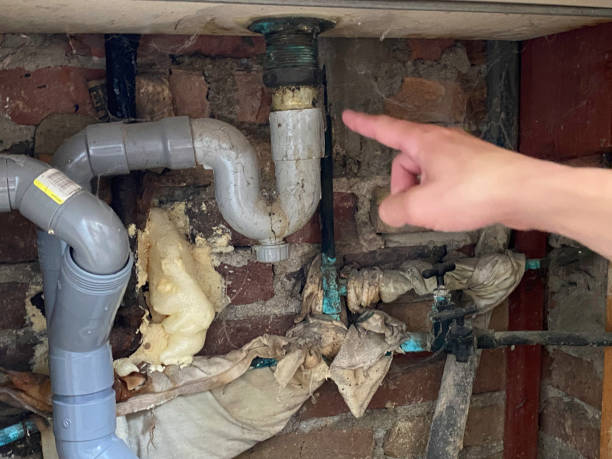 Best 24/7 water damage repair  in Alameda, CA