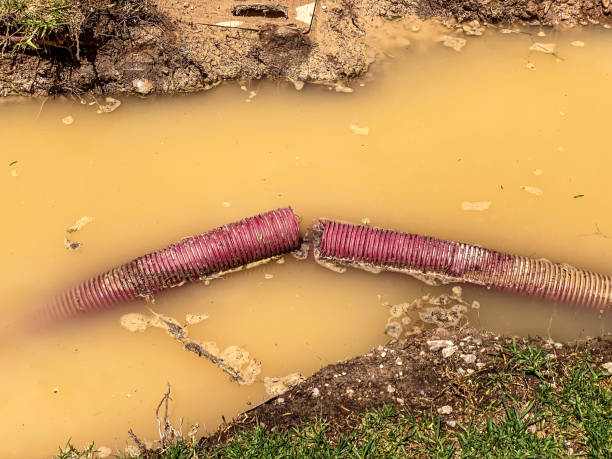 Best Emergency water damage restoration  in Alameda, CA