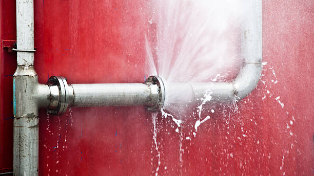 Best Water damage restoration near me  in Alameda, CA